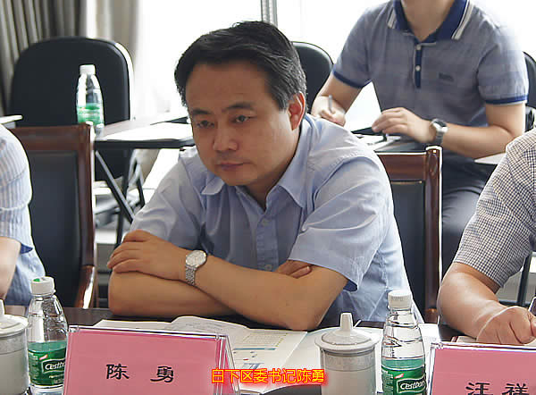 白下区委书记陈勇到我集团调研